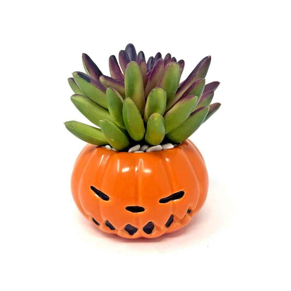 Disney Tim Burton's Nightmare Before Christmas Pumpkin King Faux Succulent 3.5in